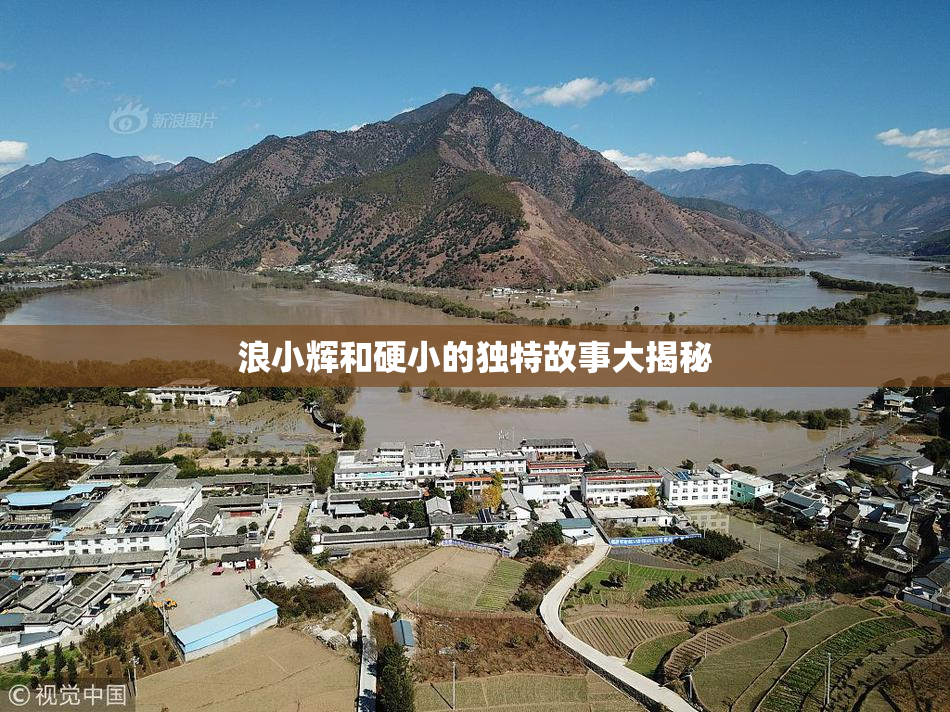 浪小辉和硬小的独特故事大揭秘
