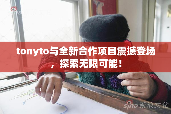 tonyto与全新合作项目震撼登场，探索无限可能！