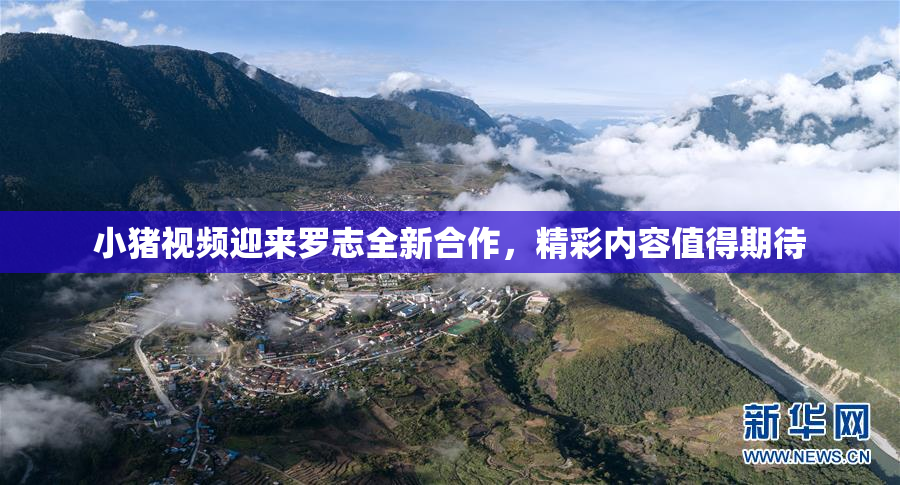 小猪视频迎来罗志全新合作，精彩内容值得期待