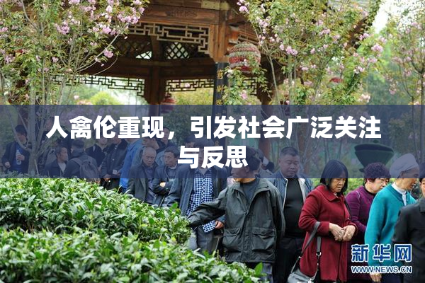 人禽伦重现，引发社会广泛关注与反思