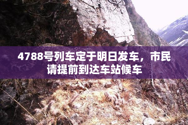 4788号列车定于明日发车，市民请提前到达车站候车