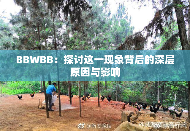 BBWBB：探讨这一现象背后的深层原因与影响