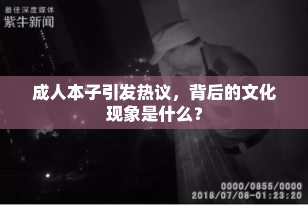 成人本子引发热议，背后的文化现象是什么？