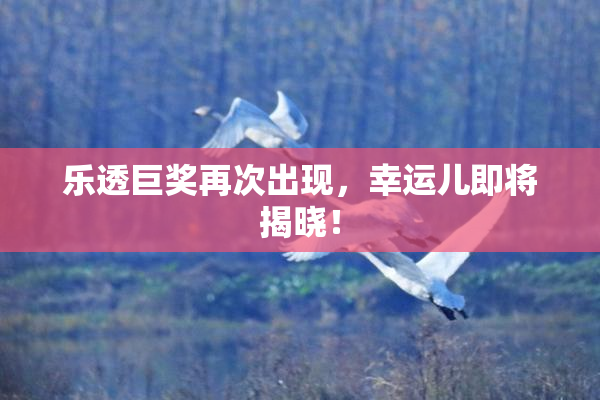 乐透巨奖再次出现，幸运儿即将揭晓！