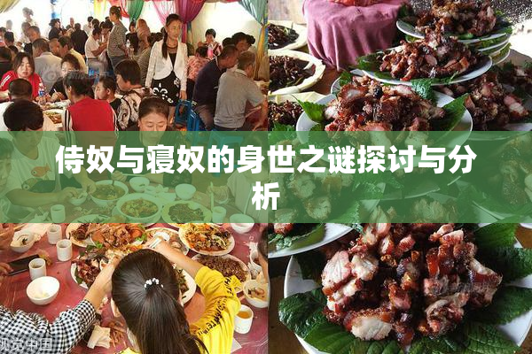 侍奴与寝奴的身世之谜探讨与分析
