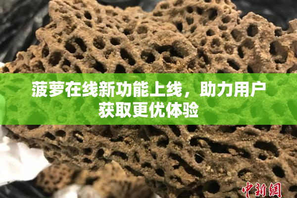 菠萝在线新功能上线，助力用户获取更优体验