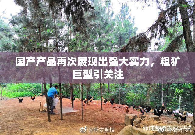 国产产品再次展现出强大实力，粗犷巨型引关注