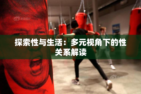 探索性与生活：多元视角下的性关系解读