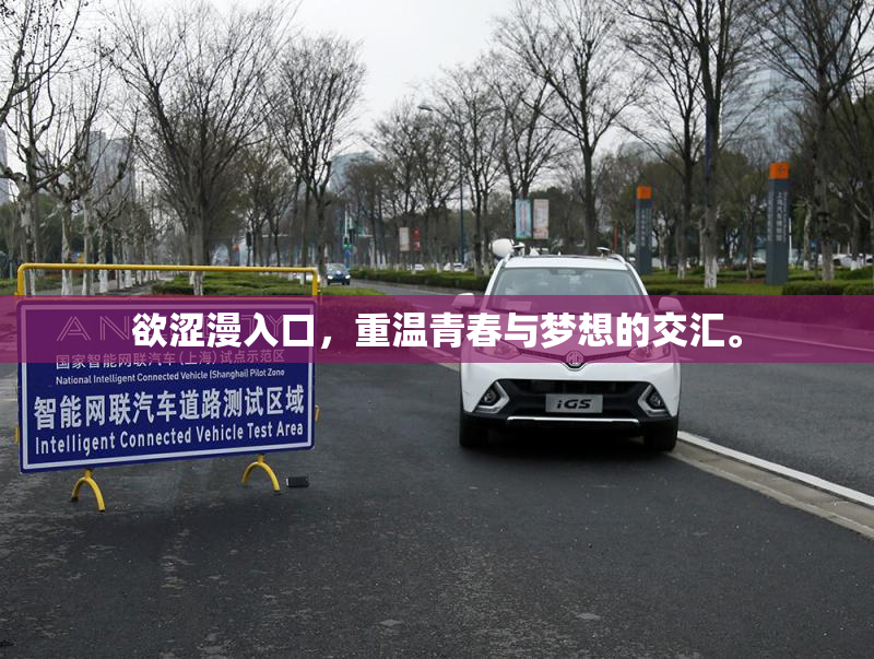 欲涩漫入口，重温青春与梦想的交汇。