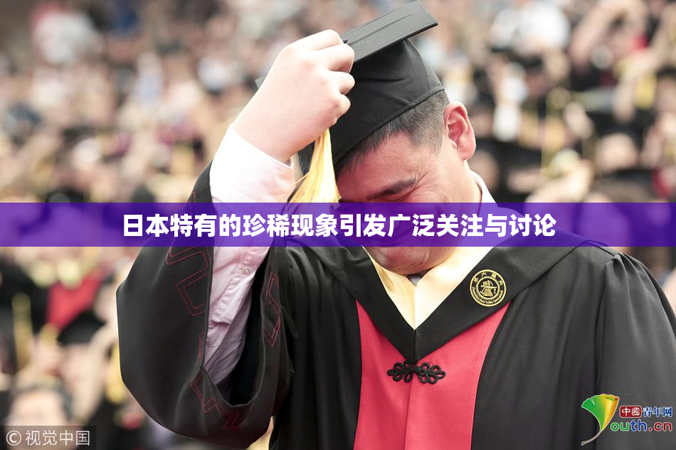 日本特有的珍稀现象引发广泛关注与讨论
