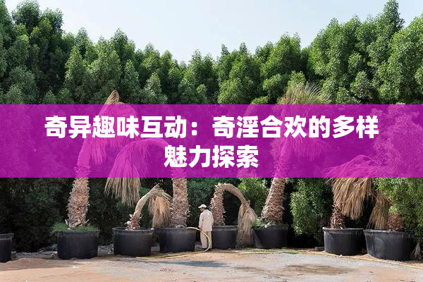 奇异趣味互动：奇淫合欢的多样魅力探索