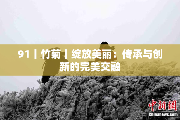 91丨竹菊丨绽放美丽：传承与创新的完美交融