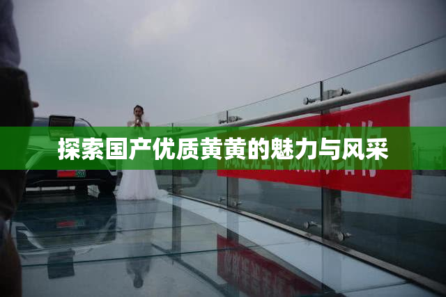 探索国产优质黄黄的魅力与风采