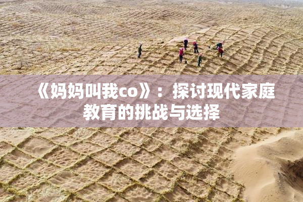 《妈妈叫我co》：探讨现代家庭教育的挑战与选择