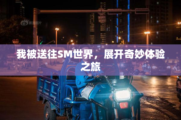 我被送往SM世界，展开奇妙体验之旅