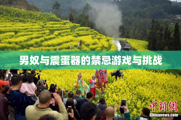 男奴与震蛋器的禁忌游戏与挑战