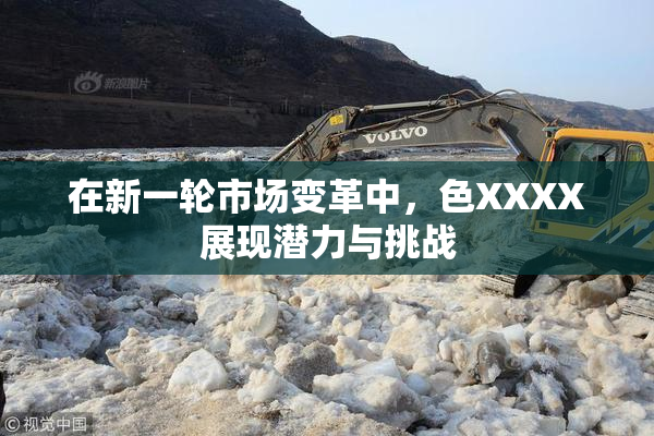 在新一轮市场变革中，色XXXX展现潜力与挑战
