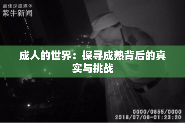 成人的世界：探寻成熟背后的真实与挑战