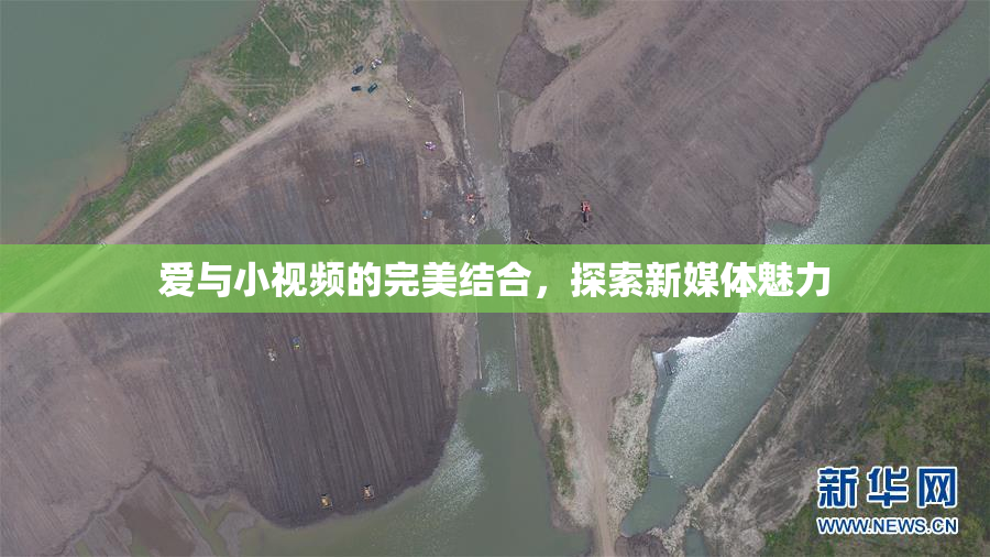 爱与小视频的完美结合，探索新媒体魅力
