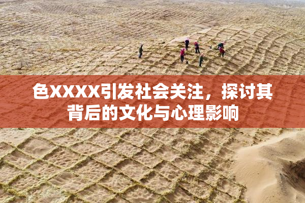 色XXXX引发社会关注，探讨其背后的文化与心理影响