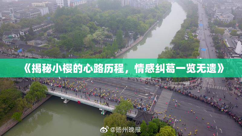 《揭秘小樱的心路历程，情感纠葛一览无遗》