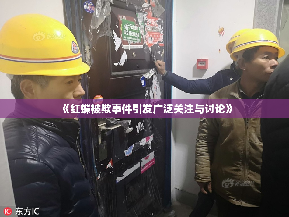 《红蝶被欺事件引发广泛关注与讨论》