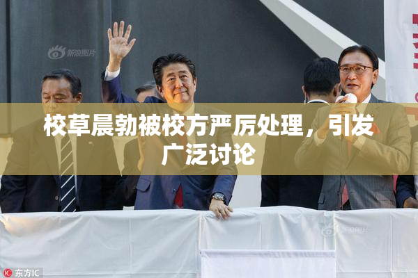 校草晨勃被校方严厉处理，引发广泛讨论