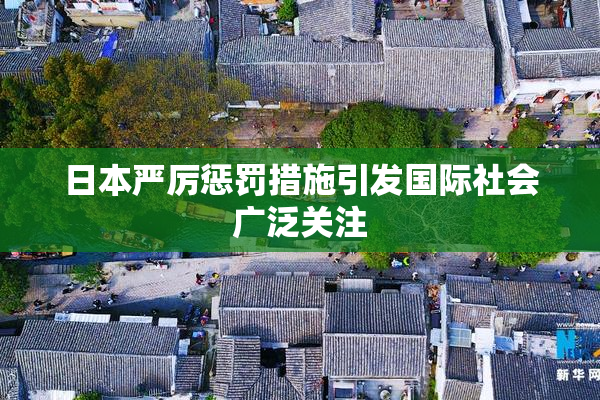 日本严厉惩罚措施引发国际社会广泛关注