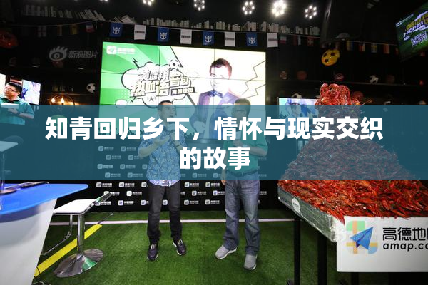 知青回归乡下，情怀与现实交织的故事