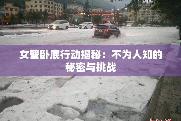 女警卧底行动揭秘：不为人知的秘密与挑战