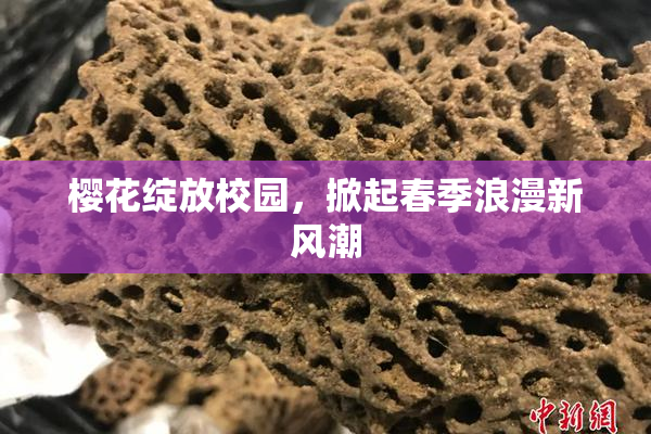 樱花绽放校园，掀起春季浪漫新风潮