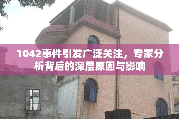 1042事件引发广泛关注，专家分析背后的深层原因与影响