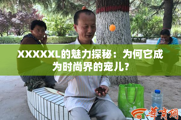XXXXXL的魅力探秘：为何它成为时尚界的宠儿？