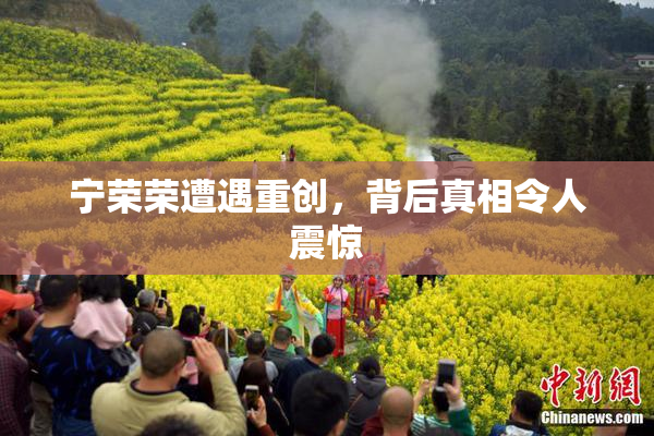 宁荣荣遭遇重创，背后真相令人震惊