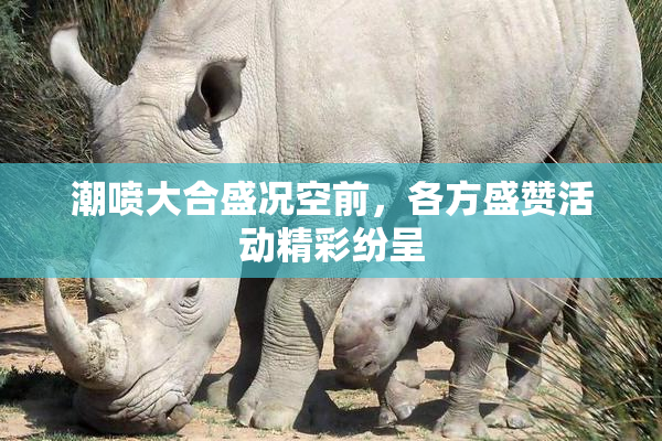潮喷大合盛况空前，各方盛赞活动精彩纷呈