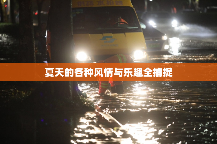 夏天的各种风情与乐趣全捕捉