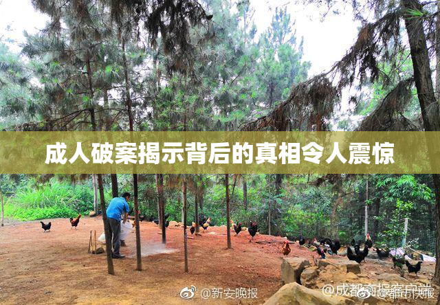 成人破案揭示背后的真相令人震惊