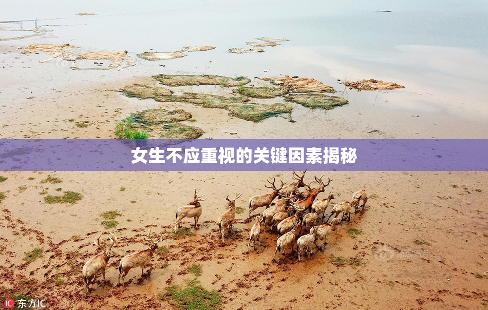 女生不应重视的关键因素揭秘