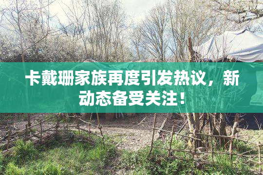 卡戴珊家族再度引发热议，新动态备受关注！