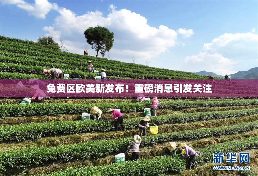 免费区欧美新发布！重磅消息引发关注