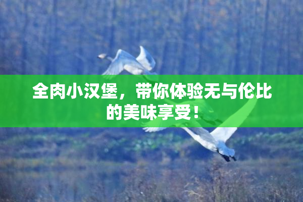全肉小汉堡，带你体验无与伦比的美味享受！