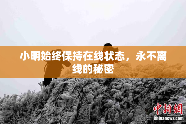 小明始终保持在线状态，永不离线的秘密