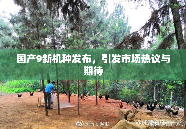 国产9新机种发布，引发市场热议与期待