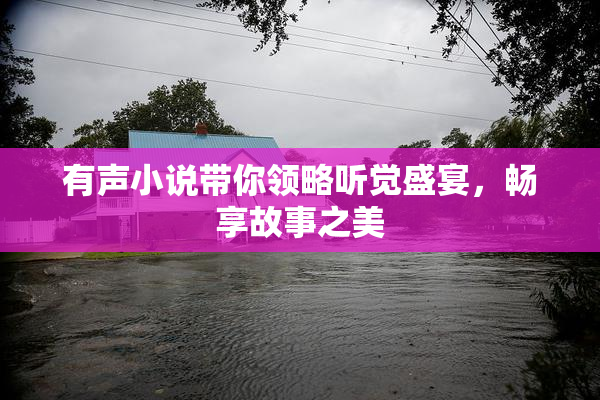 有声小说带你领略听觉盛宴，畅享故事之美