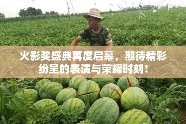 火影奖盛典再度启幕，期待精彩纷呈的表演与荣耀时刻！