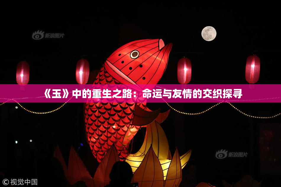 《玉》中的重生之路：命运与友情的交织探寻