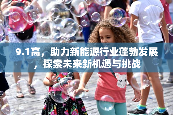 9.1高，助力新能源行业蓬勃发展，探索未来新机遇与挑战