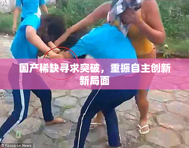 国产稀缺寻求突破，重振自主创新新局面