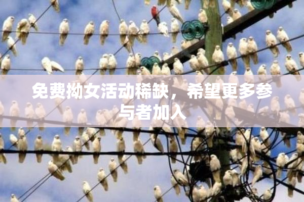免费拗女活动稀缺，希望更多参与者加入