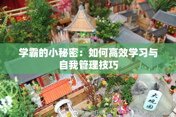 学霸的小秘密：如何高效学习与自我管理技巧